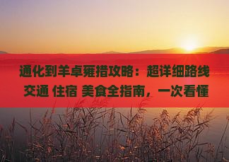 通化到西藏羊卓雍措攻略