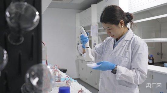 乔继月在做野生稻分子标记筛选实验（央广网记者 索迪 摄）