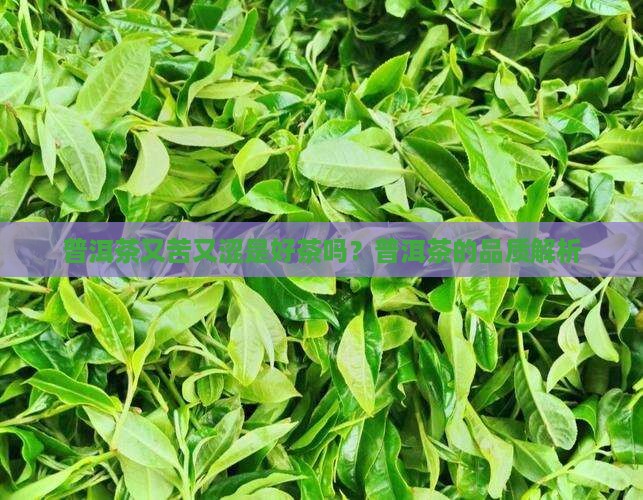 普洱茶又苦又涩是好茶吗？普洱茶的品质解析