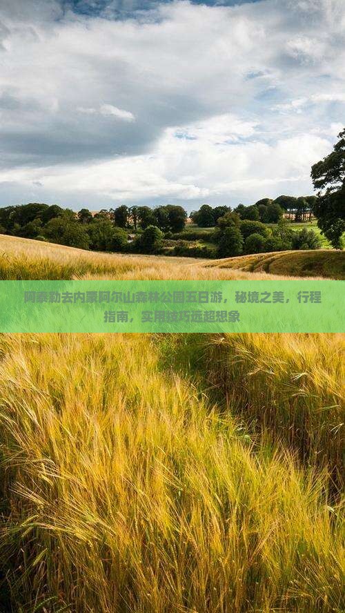 阿泰勒去内蒙阿尔山森林公园五日游，秘境之美，行程指南，实用技巧远超想象