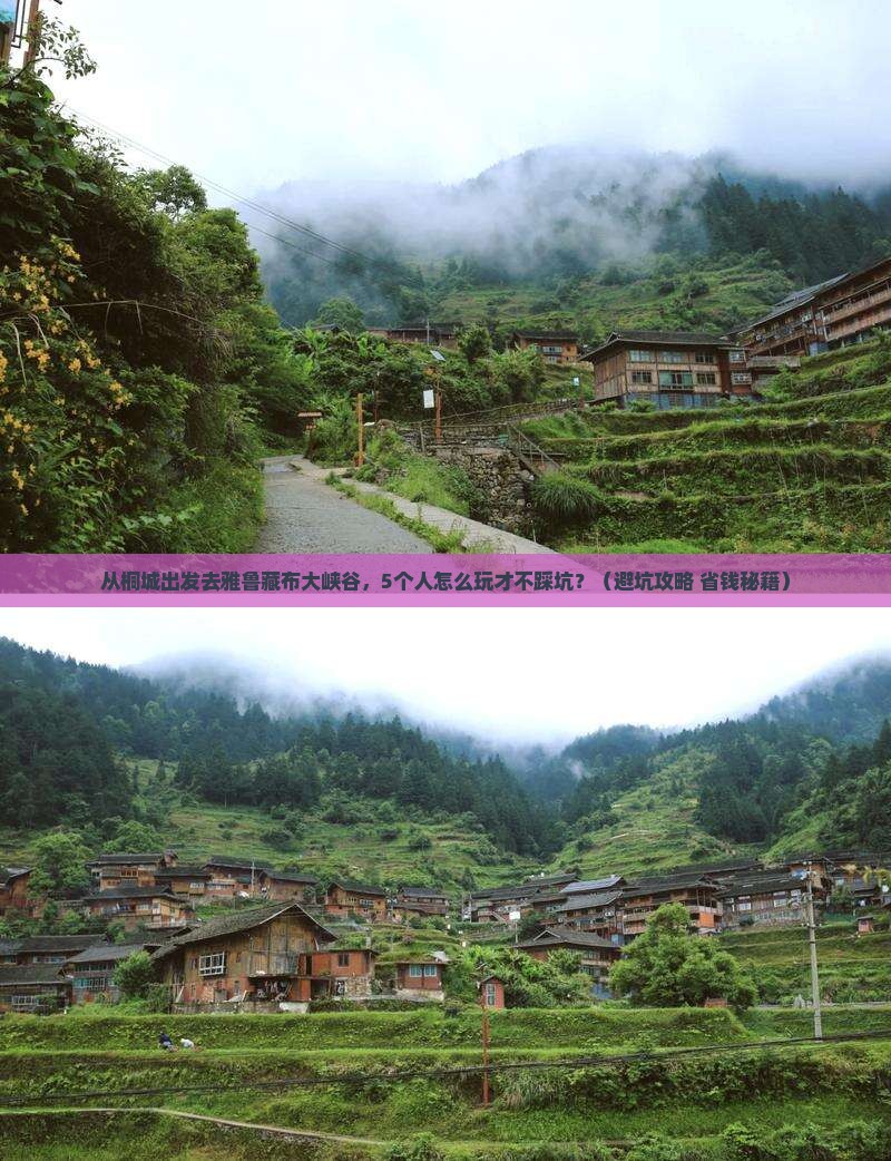 桐城到西藏雅鲁藏布大峡谷团体旅游