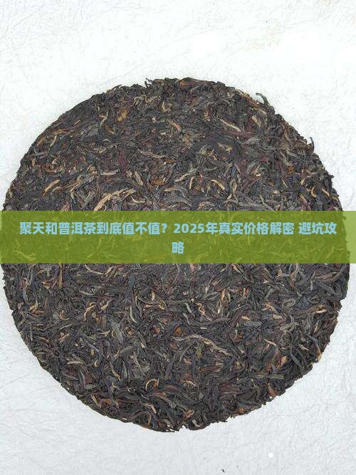 聚天和普洱茶到底值不值？2025年真实价格解密+避坑攻略