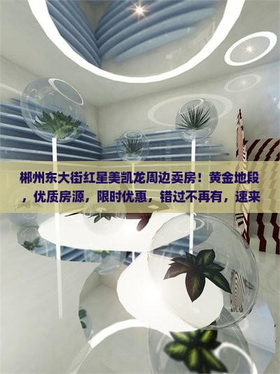 郴州东中央大街红星美凯龙周边卖房