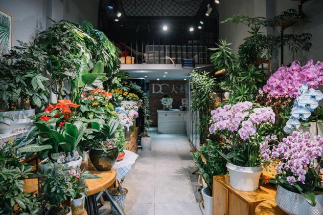 在古城，开一家花店的浪漫！
