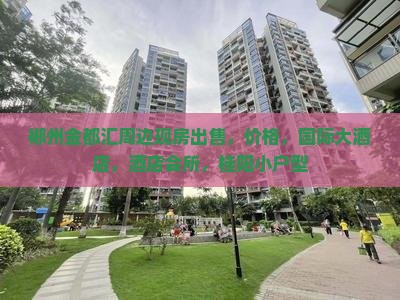 郴州金都汇周边现房