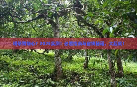 喝茶胃烧心是咋回事