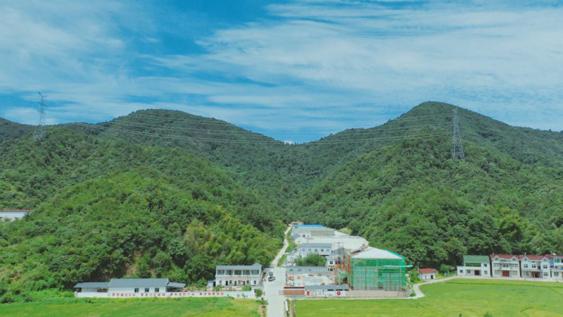昔日“仙人果” 今日“土黄金”