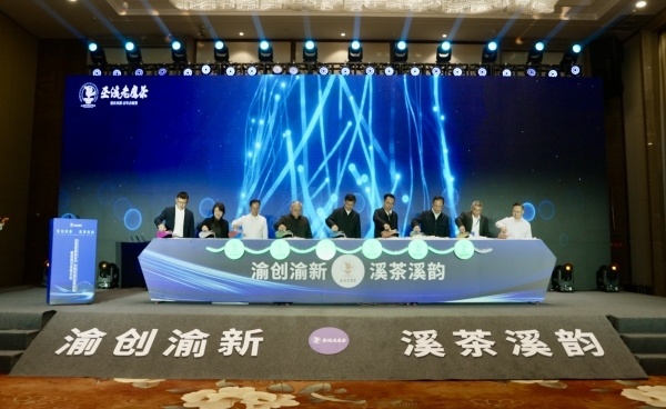 巫溪:打造老鹰茶全产业链 领跑茶叶产业“新赛道”